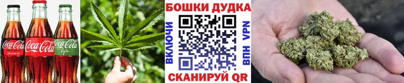 Canna-Cookies марихуана  Купить закладки  Кимры 