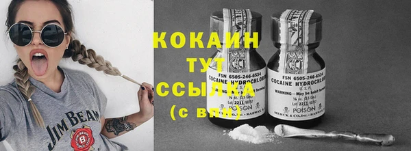 амф Вяземский