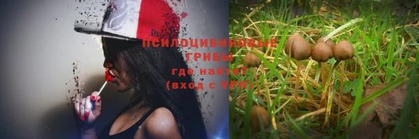 ешки Вязники