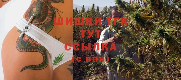 амф Вяземский