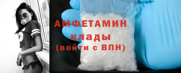 амф Вяземский
