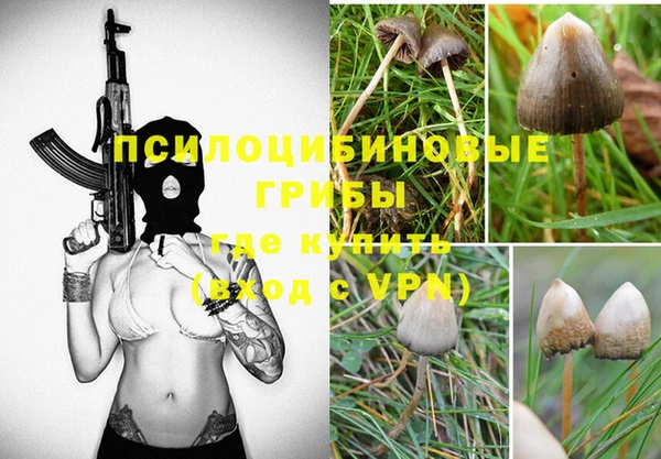 ешки Вязники