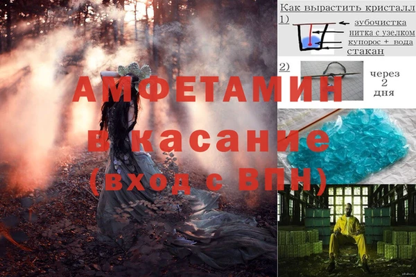 амф Вяземский