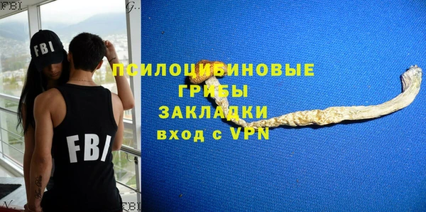 амф Вяземский