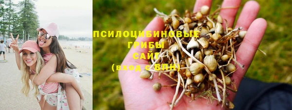амф Вяземский