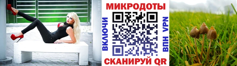 Купить  Кимры  Галлюциногенные грибы мухоморы 